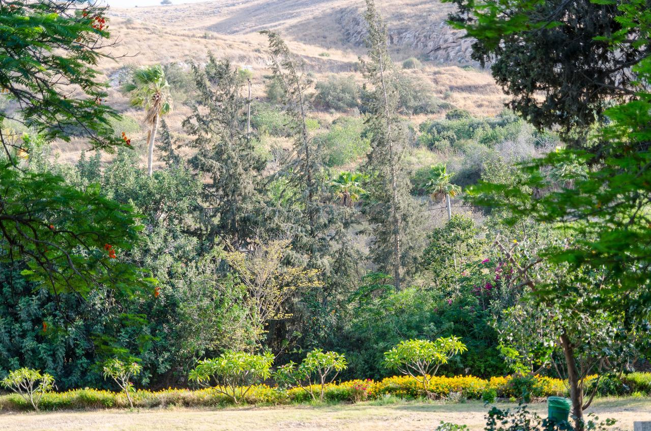 Bait Alfa Kibbutz Country Lodging Bet Alfa Номер фото